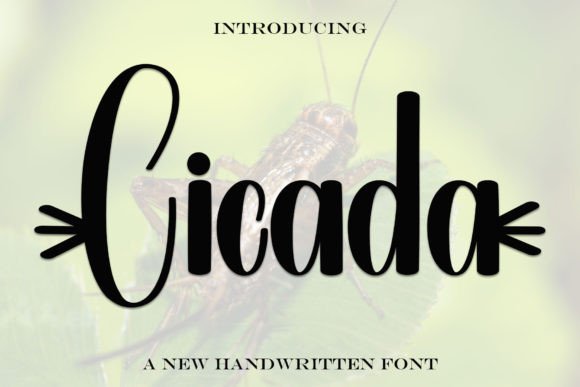 Cicada: A Handwritten Font for Elegant Digital Branding