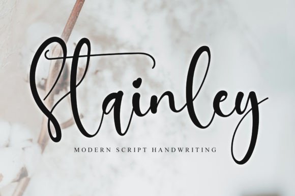 Stainley: A Refined Script Font for Digital Branding